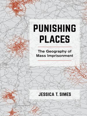cover image of Punishing Places